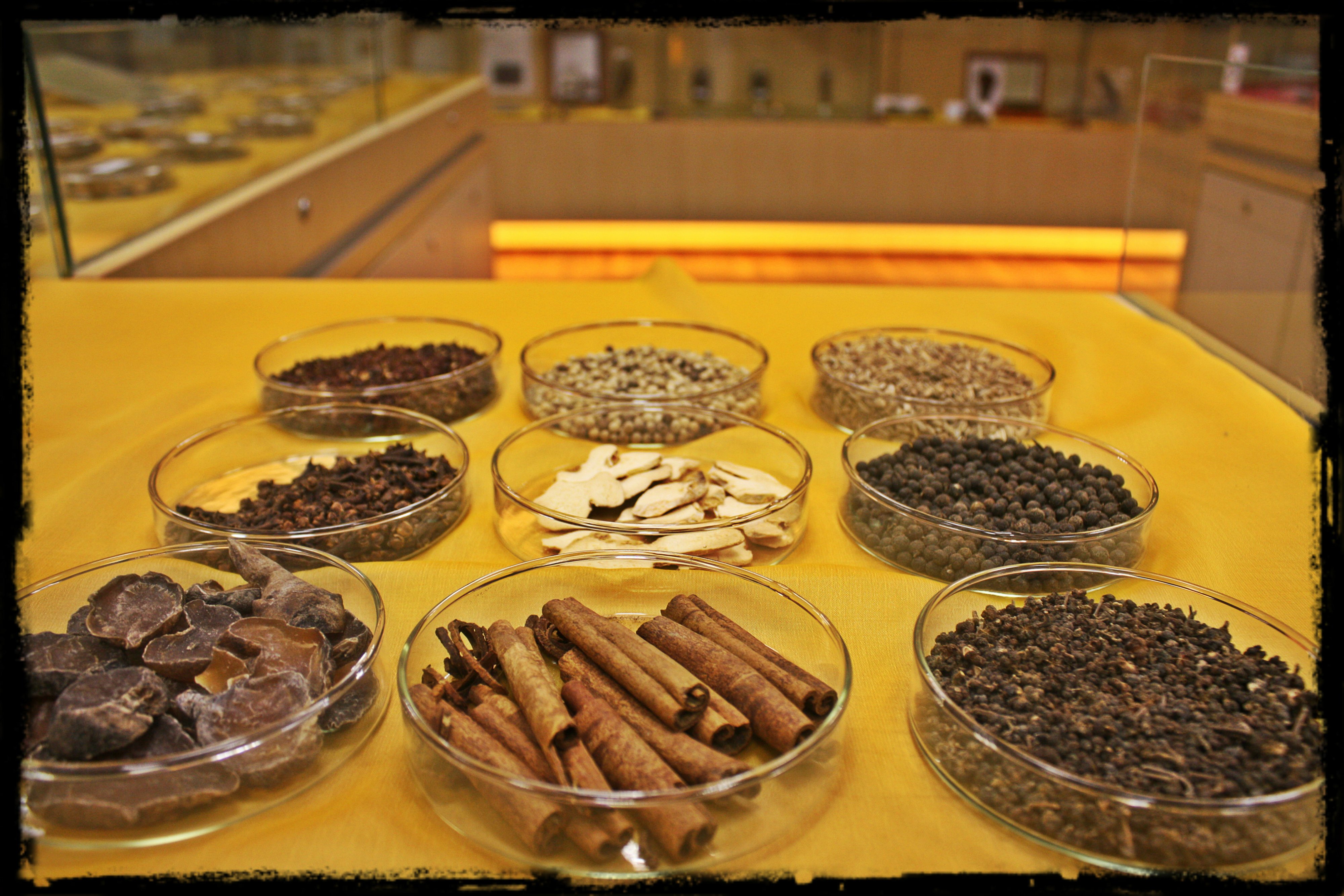 温里药 Interior Warming Herbs