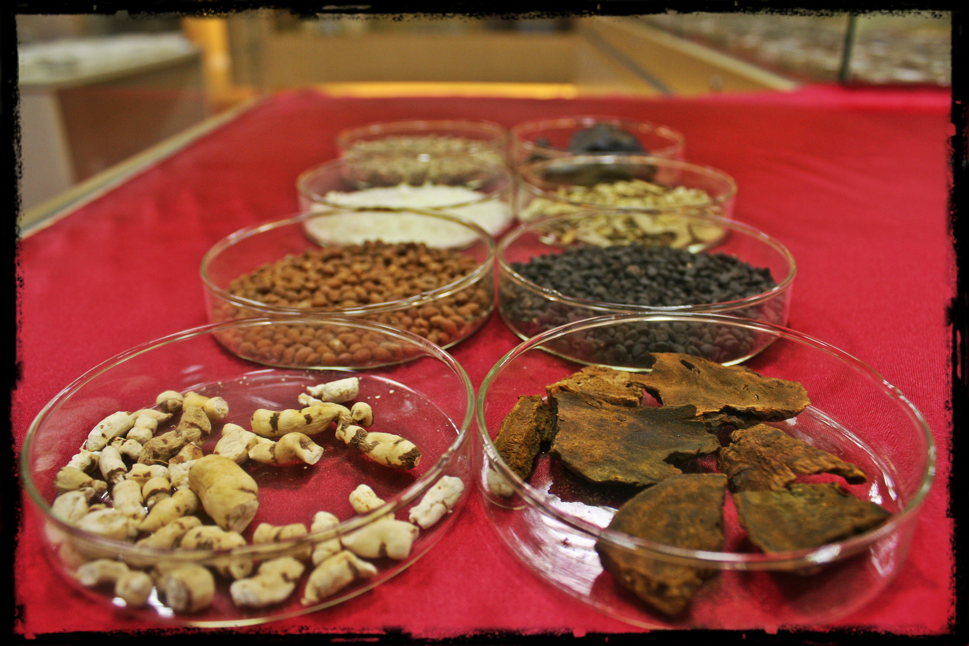 泻下药 Cathartics