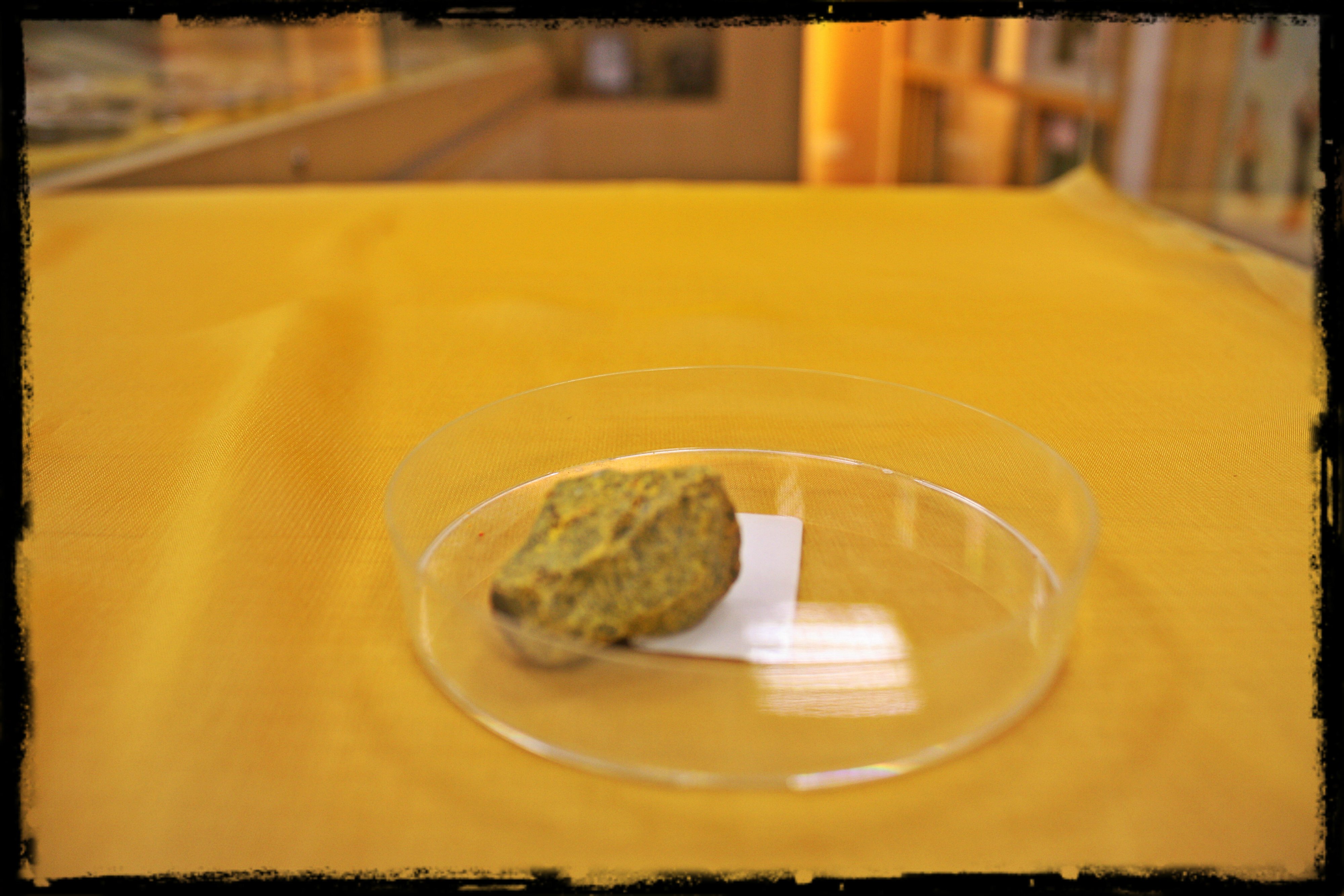 涌吐药 Emetic Herbs