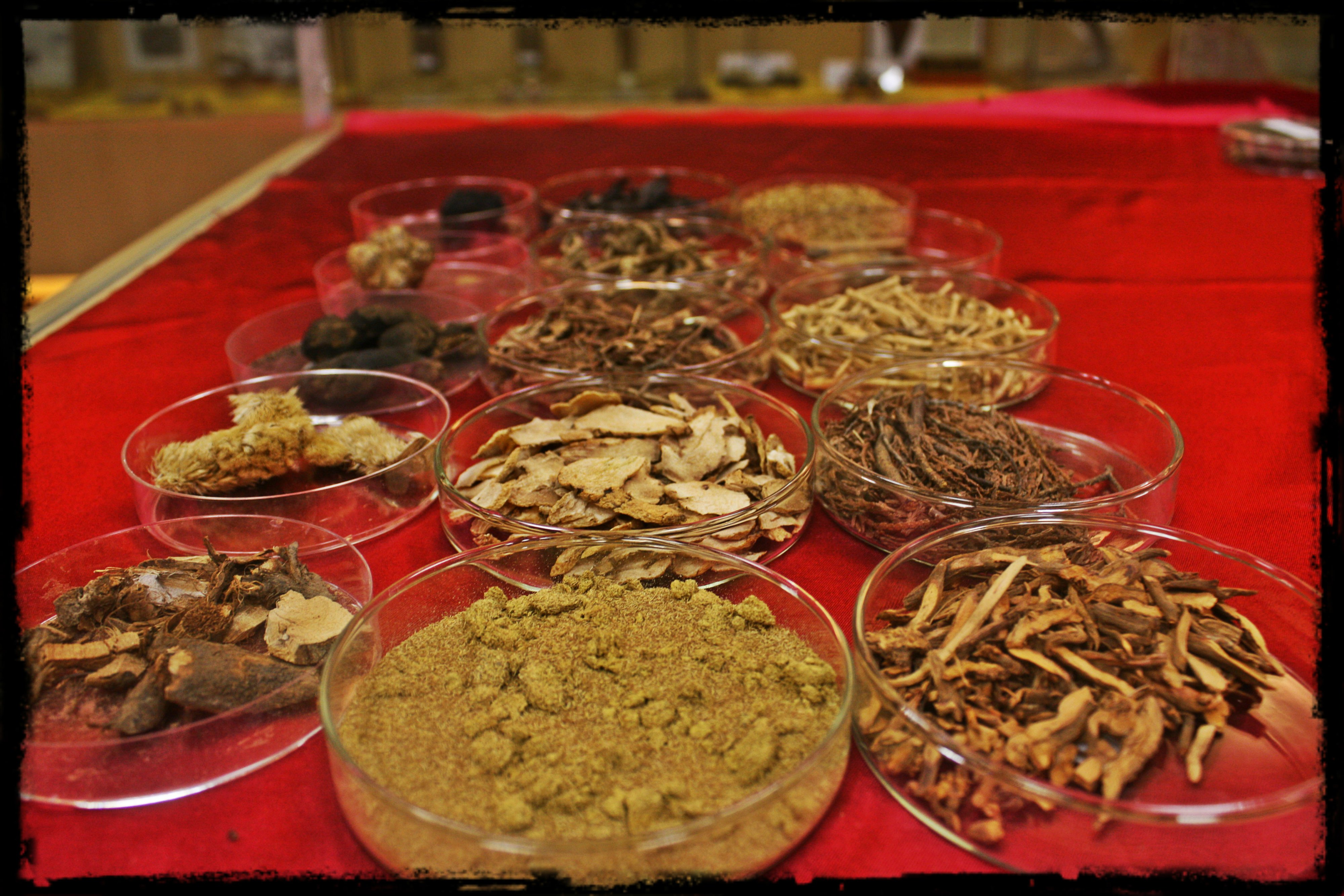 止血药 Hemostatic Herbs