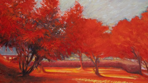 FIELDS VINCENT TWARDZIK CHING