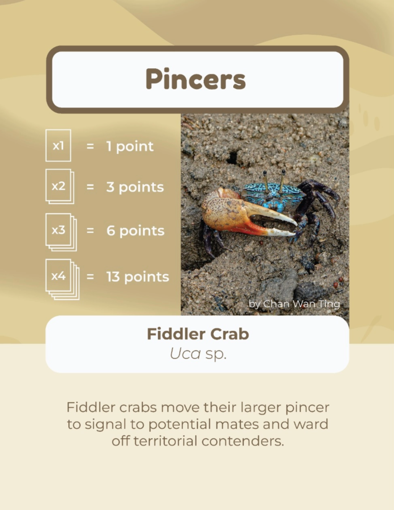 IMG_resource_1a-791x1024