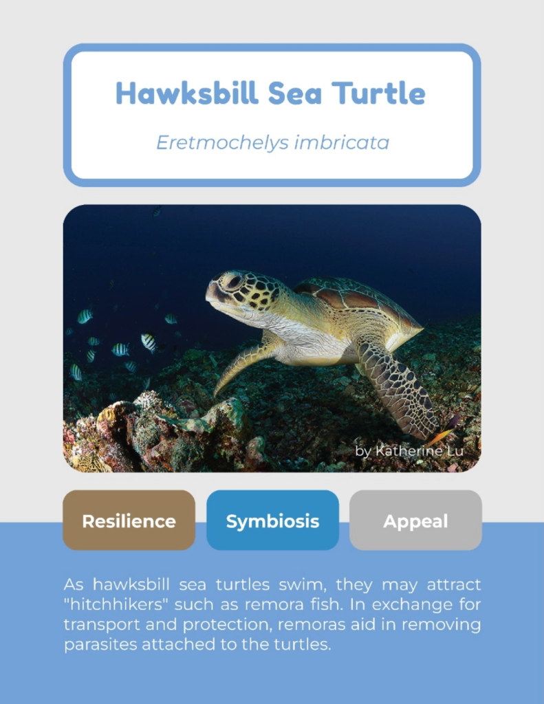 IMG_resource_1b-791x1024