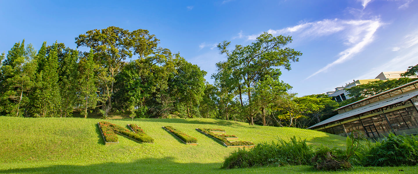 NIE Green Hill with Topiary of NIE Logo
