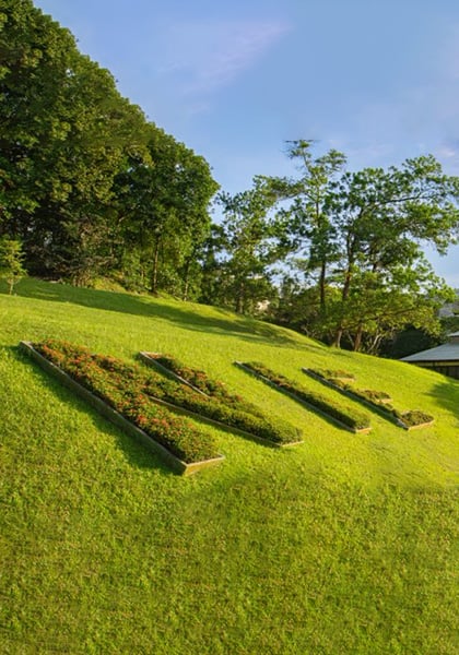 NIE Green Hill with Topiary of NIE Logo Side Angle (mobile)