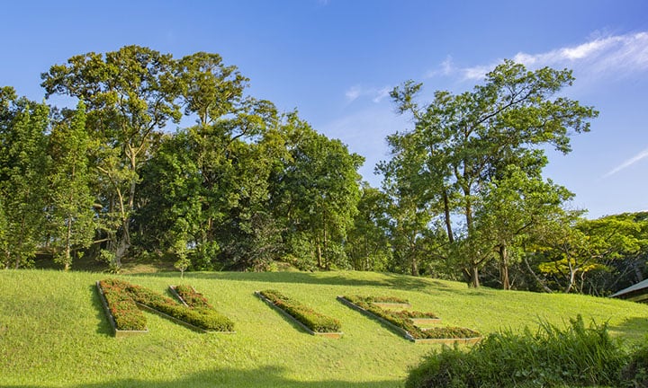 NIE Green Hill with Topiary of NIE Logo Top Angle (720x432px)