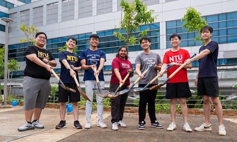 Thumbnail - Tree Planting