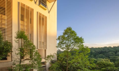 E - Outdoor Tall Trees Building Sunset Sky