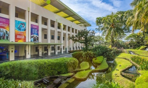 Lush Green Landscaping on NIE Campus Driveway Entrance with Building Banners 2 (480x288px)