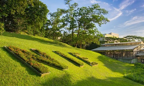 NIE Green Hill with Plant Topiary Logo Side Angle (480x288px)