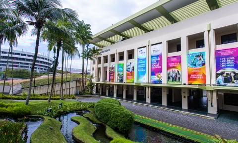 NIE outdoor with many posters and pond view