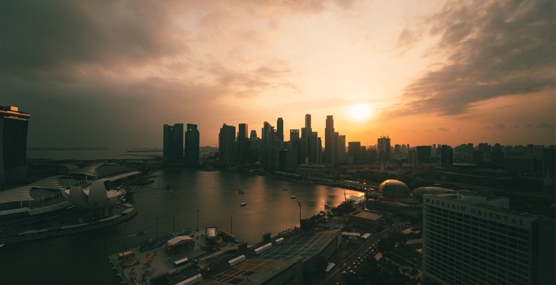 pexels-timo-volz-1842332