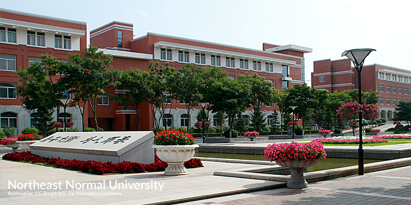 pexels-timo-volz-1842332