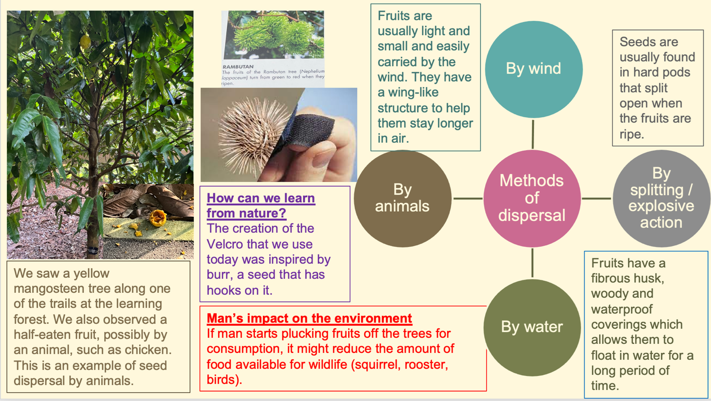 Example of the poster which will be created by students