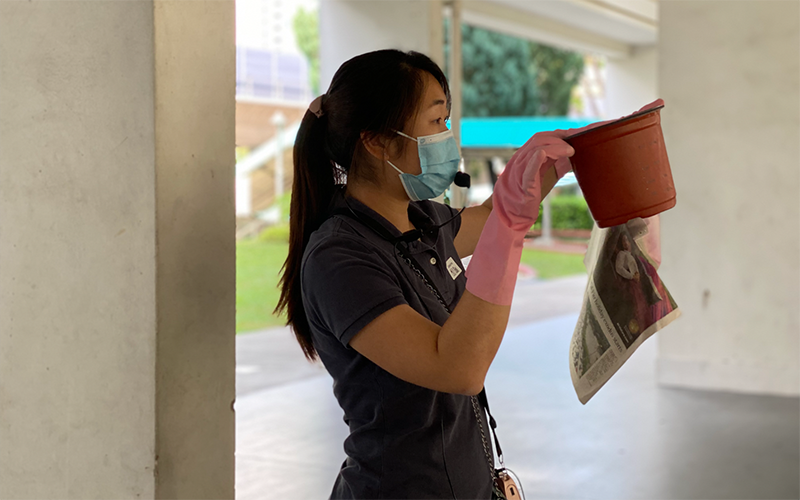 DIY compost demonstration