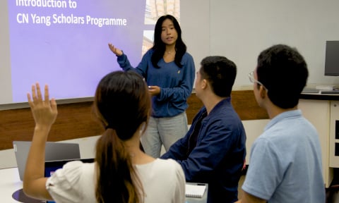 cny-overview-thumbnail-2